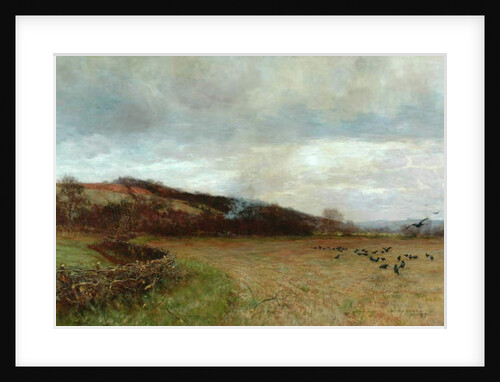 Landscape with Birds, 1897 by Maud Raphael Jones