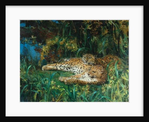 Indian Leopards by John Macallan Swan