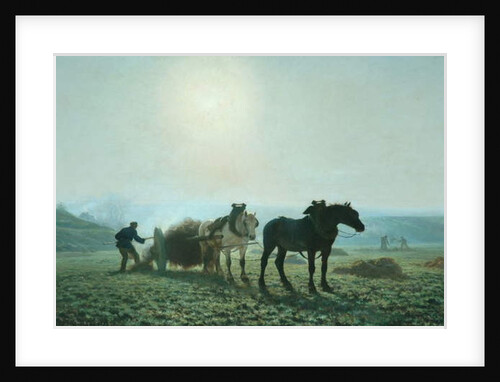 Horses in a Field, 1873 by Jules Leon Montigny