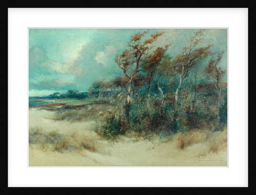 Trees in a Sandy Lane, Heysham, 1916 by William H. Parkinson