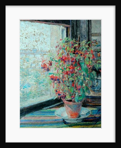 Fuchsias by Louise Pickard