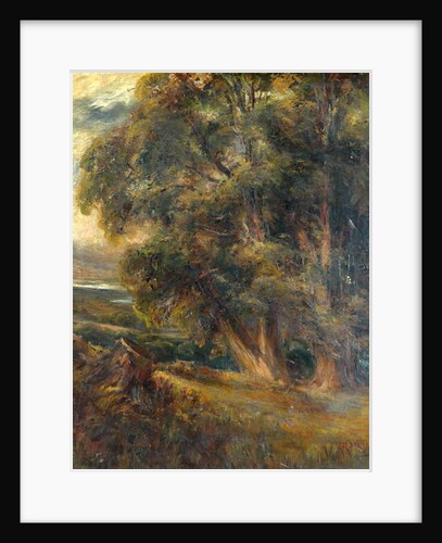 Tree study by Arthur Reginald Smith