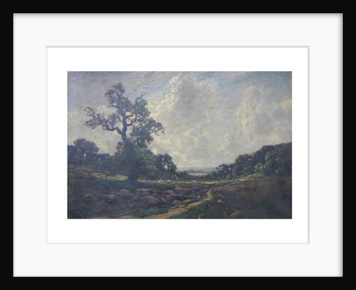 The road over the common by Jose Weiss