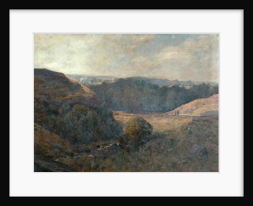 The glen, Eldwick by William Charles Rushton