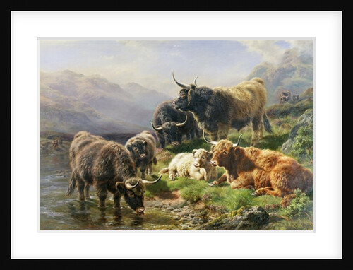 Highland Cattle by William Watson