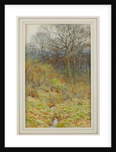 Our Primrose Wood, 1913 by Helen Allingham