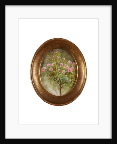 Rose Bush by Helen Allingham