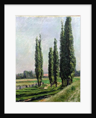 Poplars on the Riverbank at Argenteuil by Gustave Caillebotte