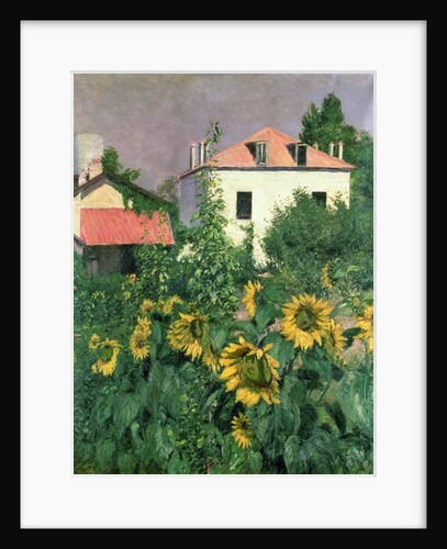 Sunflowers in the Garden at Petit Gennevilliers by Gustave Caillebotte