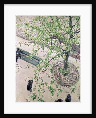 The Boulevard Viewed from Above, 1880 by Gustave Caillebotte