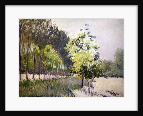 Orchard and avenue of trees by Gustave Caillebotte