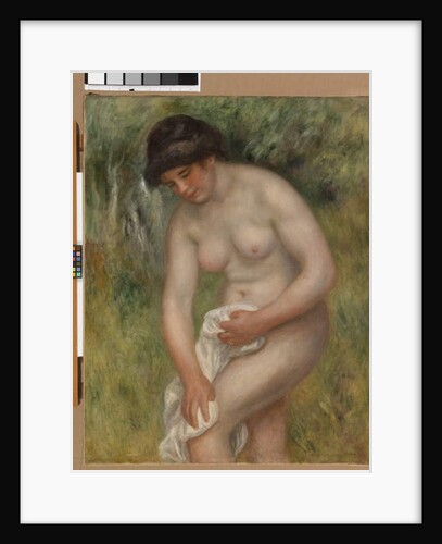 Nude, Green Background, 1902 by Pierre Auguste Renoir