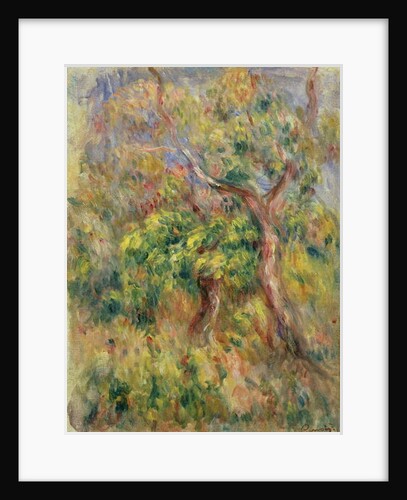 Trees, 1915-16 by Pierre Auguste Renoir