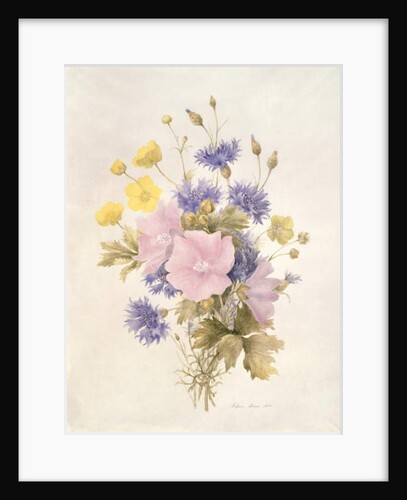 Field Flowers, 1842 by French School