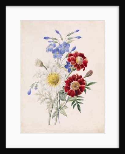 Flowers and White Daisy, c.1840 by French School