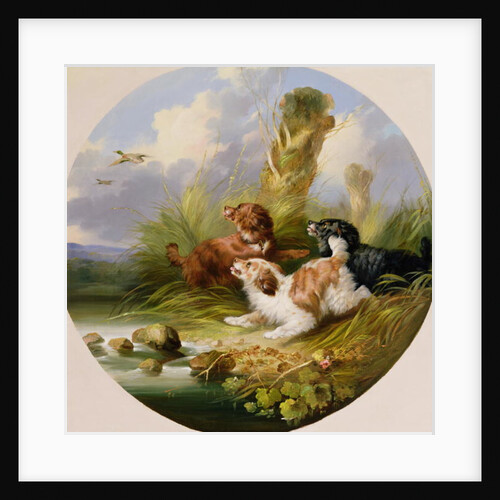 Three Spaniels Flushing Mallard by George Armfield