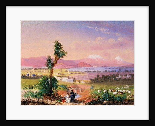 A View of Mexico City, 1878 by Conrad Wise Chapman