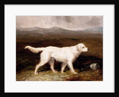 Charles Brett's White English Setter 'Sam' in a Moorland Landscape, 1836 by Abraham Cooper