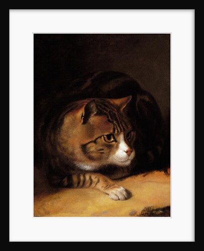 A Tabby Cat, 1817 by Abraham Cooper