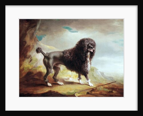 A Clipped Water Spaniel by John E. Ferneley