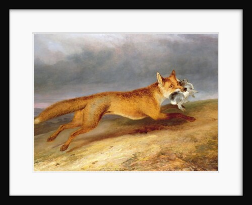 Fox making off with a Rabbit, 1841 by Charles Hancock