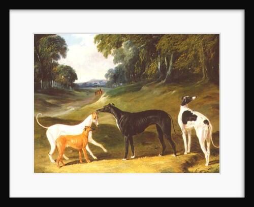 Greyhounds, 'Spot', 'Skylark', 'Nettle' and 'Sky', 1839 by John Frederick Herring Snr