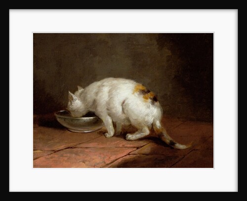The Artist's Cat Drinking, 1792 by George Morland