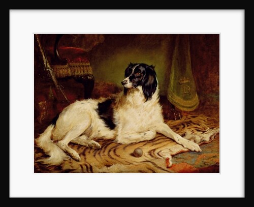 Minna, a favourite dog of James, Marquess of Dalhousie, 1857 by Gourlay Steel
