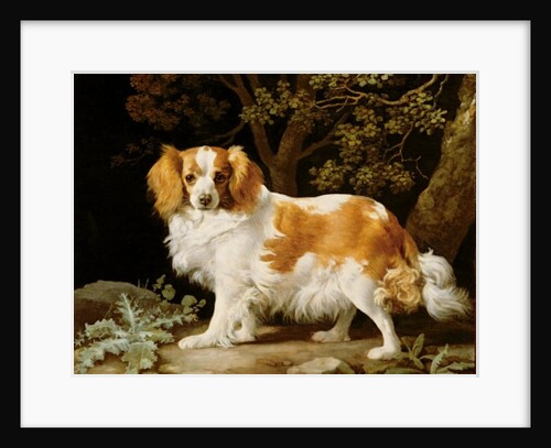 A Liver and White King Charles Spaniel in a Wooded Landscape, 1776 by George Stubbs