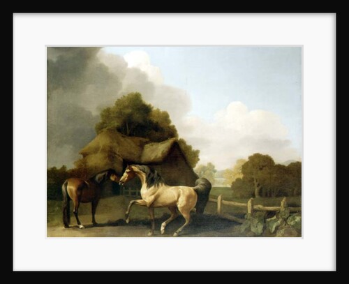 A Roan Stallion and a Bay Mare, 1769 by George Stubbs