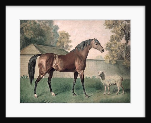 Dungannon by George Townley Stubbs