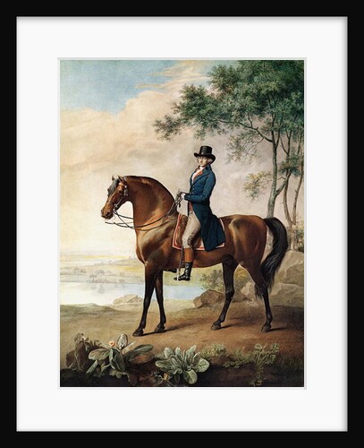 Warren Hastings Esq. on his Arabian Horse, after a painting by George Stubbs, 1796 by George Townley Stubbs
