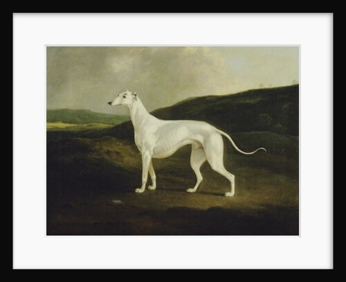 A Greyhound in a Landscape, 1817 by Charles Henry Schwanfelder