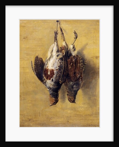 Brace of English Partridge, 1808 by J. Francis Sartorius
