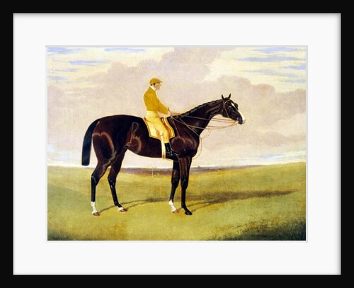 Queen of Trumps with Lye, 1836 by John Frederick Herring Jnr