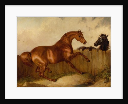 Stallion and Mare by Thomas Woodward