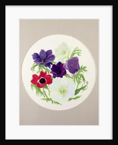 Anemones by Frances Buckland