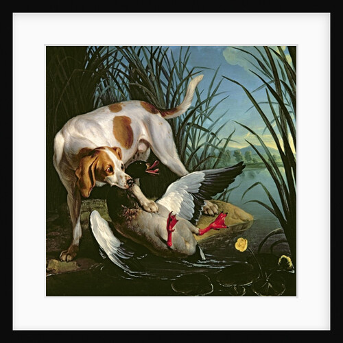 Dog with a wild duck by Jean-Baptiste Oudry