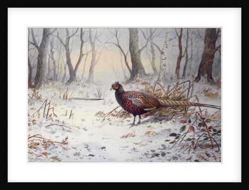 Pheasants in Snow by Carl Donner