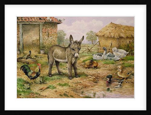 Donkey and Farmyard Fowl by Carl Donner