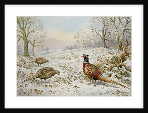 Pheasant and Partridges in a Snowy Landscape by Carl Donner