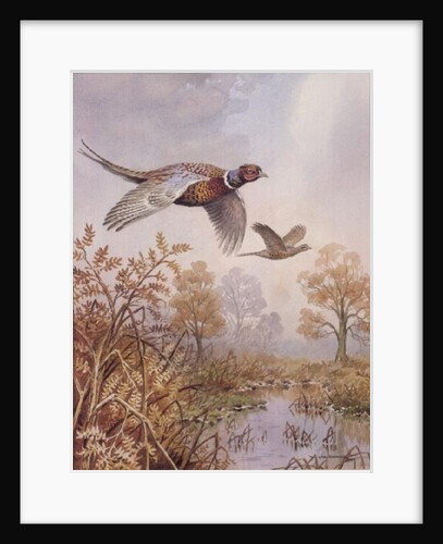 Over the Fen by Carl Donner