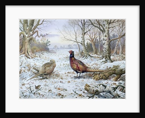 Pair of Pheasants with a Wren by Carl Donner