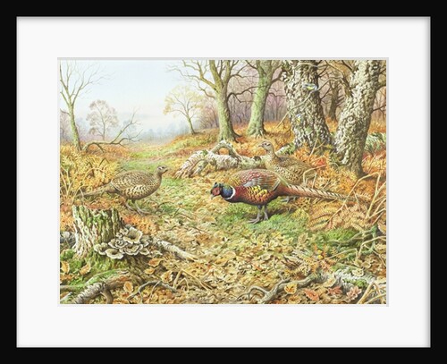 Pheasants with Blue Tits by Carl Donner