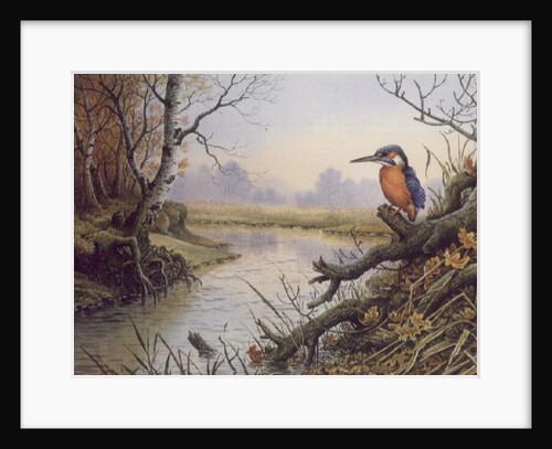 Kingfisher: Autumn River Scene by Carl Donner