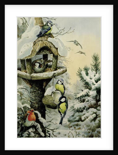 Winter Bird Table with Blue Tits, Great Tits, House Sparrows and a Robin by Carl Donner