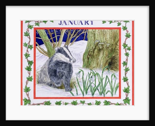 January by Catherine Bradbury