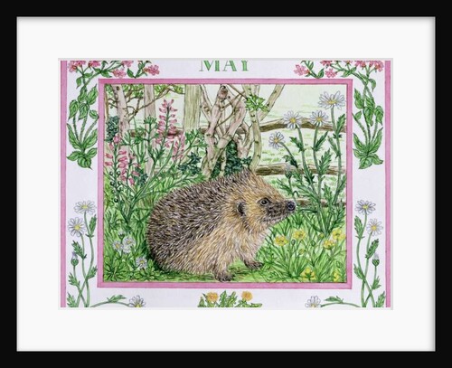 May by Catherine Bradbury