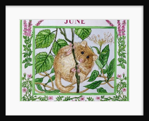 June by Catherine Bradbury