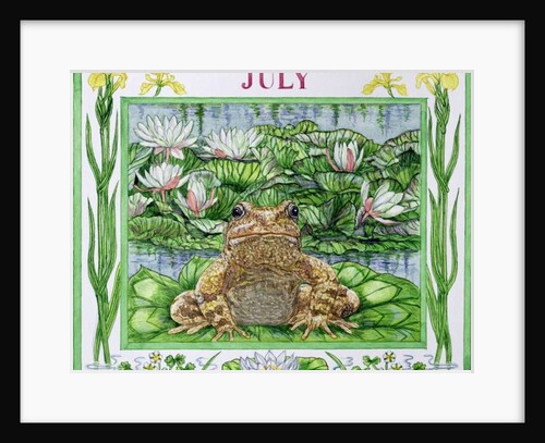 July by Catherine Bradbury